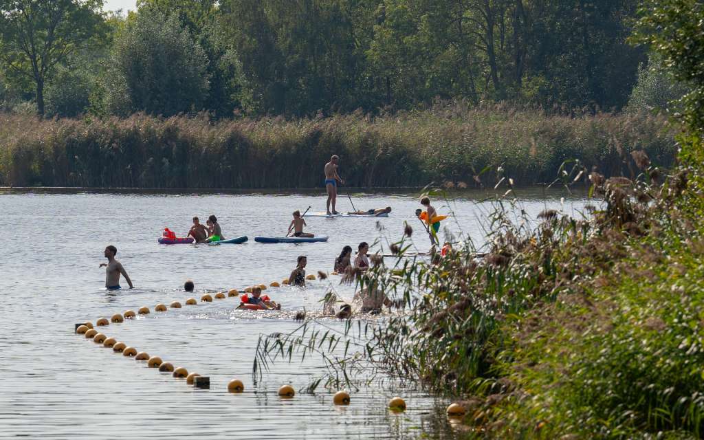 Mensen die zwemmen en suppen in recreatiegebied De Hoge Dijk