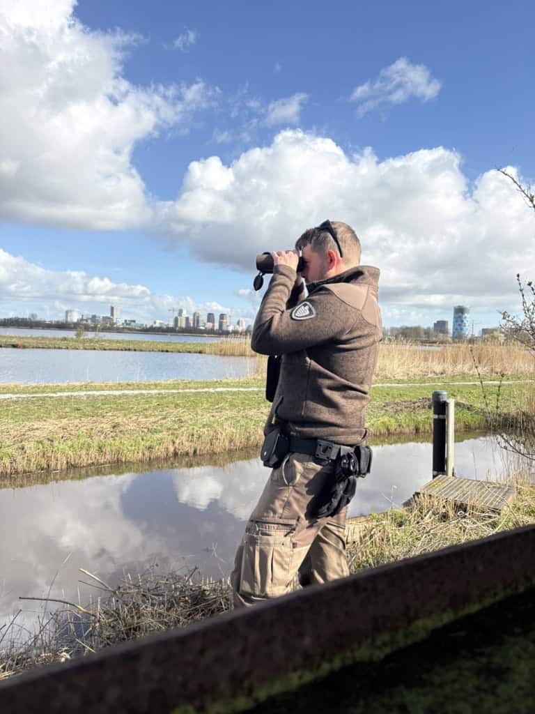 Boswachter (groene boa) bij de Ouderkerkerplas