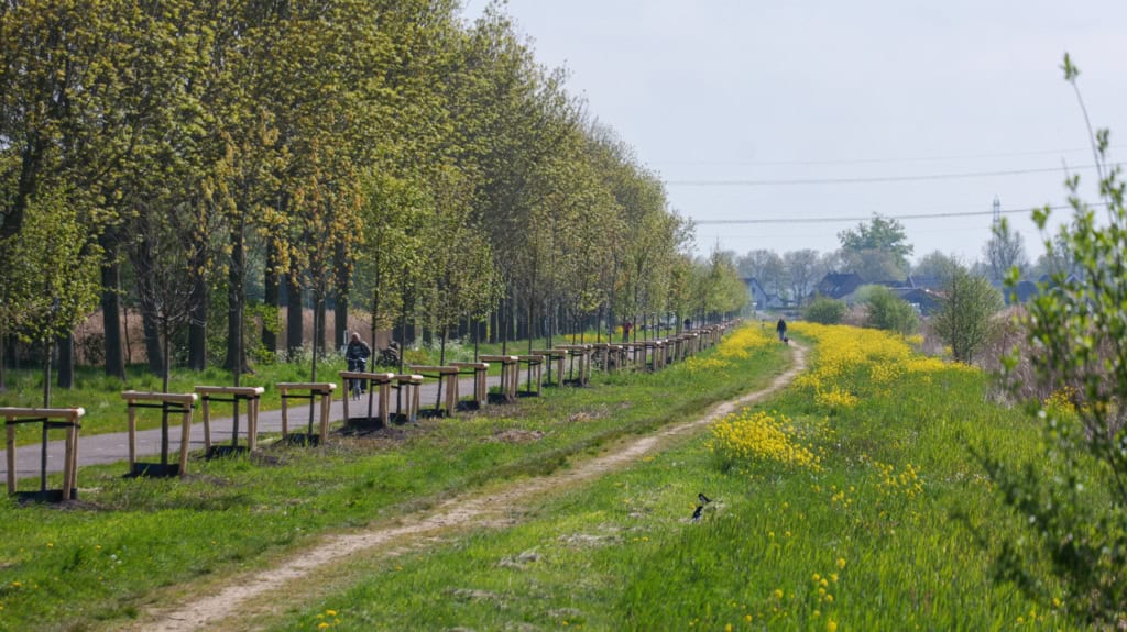 Nieuwe bomen bij Gaasperzoom